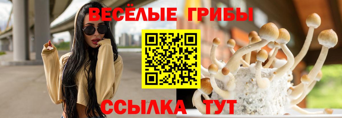 Галлюциногенные грибы Psilocybe  Вход с VPN  Солнечногорск  где купить наркотик  Псилоцибиновые грибы GOLDEN TEACHER 