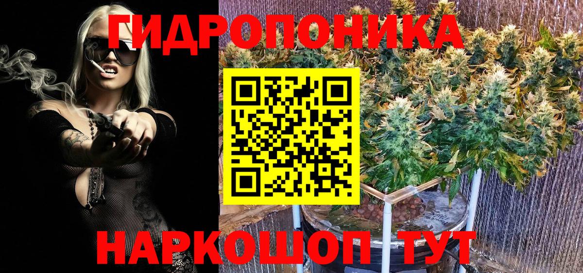 Канабис Ganja  Вход с VPN  Канабис ГИДРОПОН  Солнечногорск  Бошки Шишки марихуана  Бошки марихуана OG Kush 